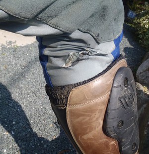 付いててよかった