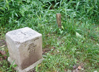 桑谷山