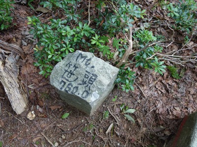 笹頭山