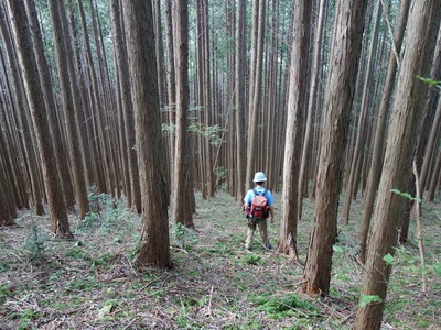 笹頭山