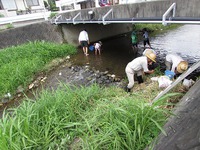 全国水生生物調査協力