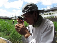 全国水生生物調査協力