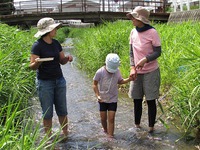 全国水生生物調査協力