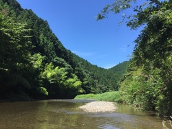夏期休業のお知らせ。