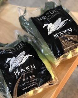 とうもろこし【HAKU】☆