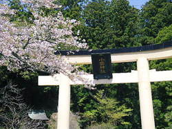 小国神社で販売です☆