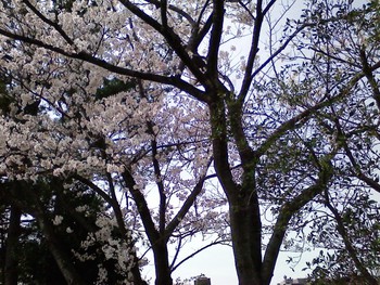 4月1日
