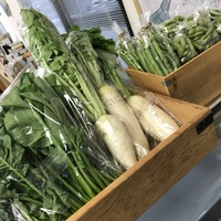 美味しい野菜いかがですか？ 2019/10/11 16:17:31