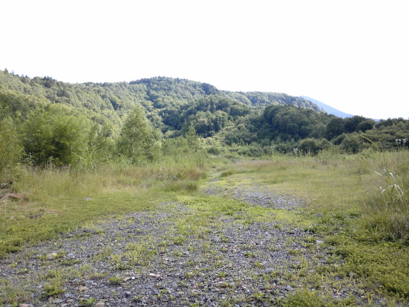 懐かしい写真達・・・