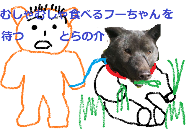 草をむしゃむしゃ食べるフーちゃんを待つとらの介