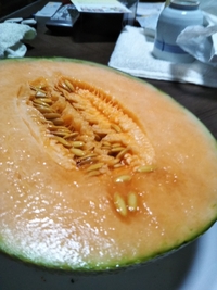 宮崎のタカミメロン