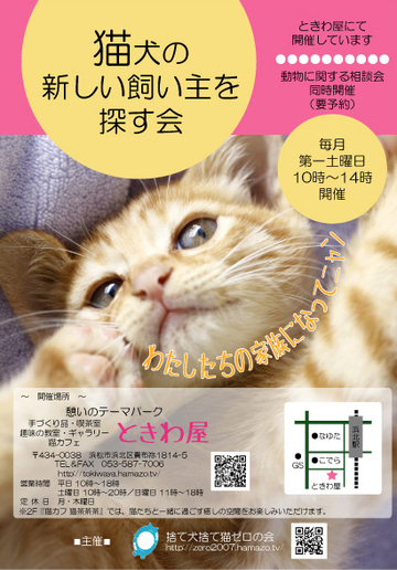 明日は、猫の里親探しをときわ屋さんでやります。