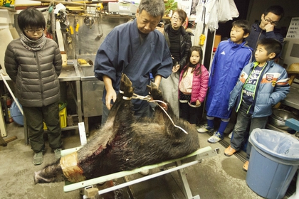 とって食べる 猟師さんのお話を聞きながらシカ イノシシを食べる 開催しました 屠殺 解体編のご報告