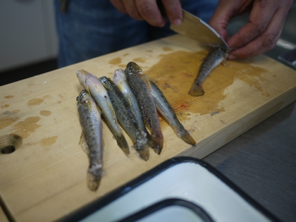 とって食べる ハゼをとって食べる を開催しました 料理して食べる編のご報告