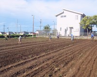 豊田東そばづくりの会　種まき