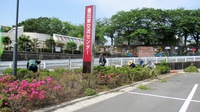 草取りボランティア