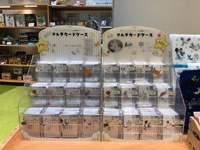 新商品の搬入