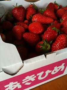 袋井からお客様