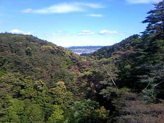 浜北森林公園