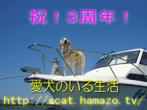 祝！ブログ三周年♪