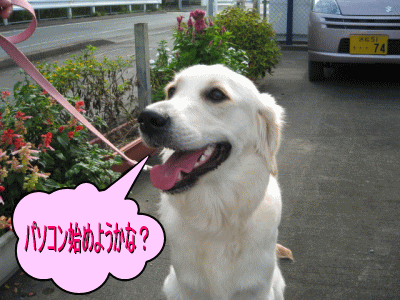 寺子屋CM＜お犬バージョン＞