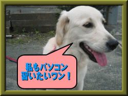Sチャンご来校2