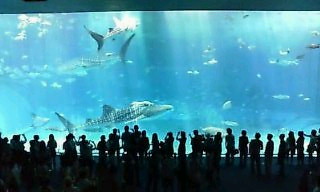 楽しかった修学旅行in沖縄