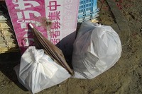 権現谷川のゴミ拾い