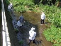 権現谷川のゴミ拾い