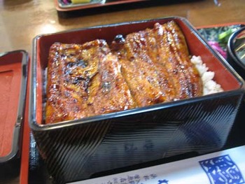 今日の昼食は