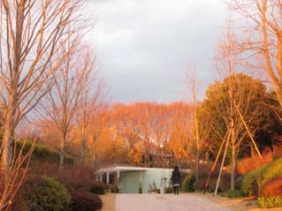 小さなアーティスト展
