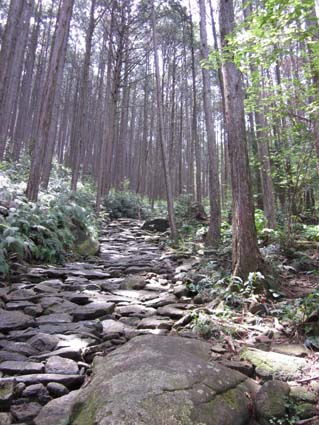 熊野古道