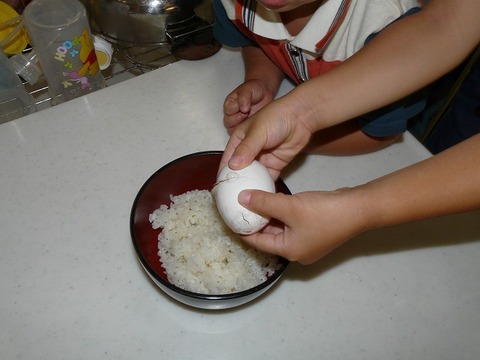 なんだこりゃ～