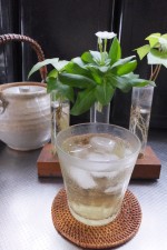ストレス解消 2014/09/01 15:33:36
