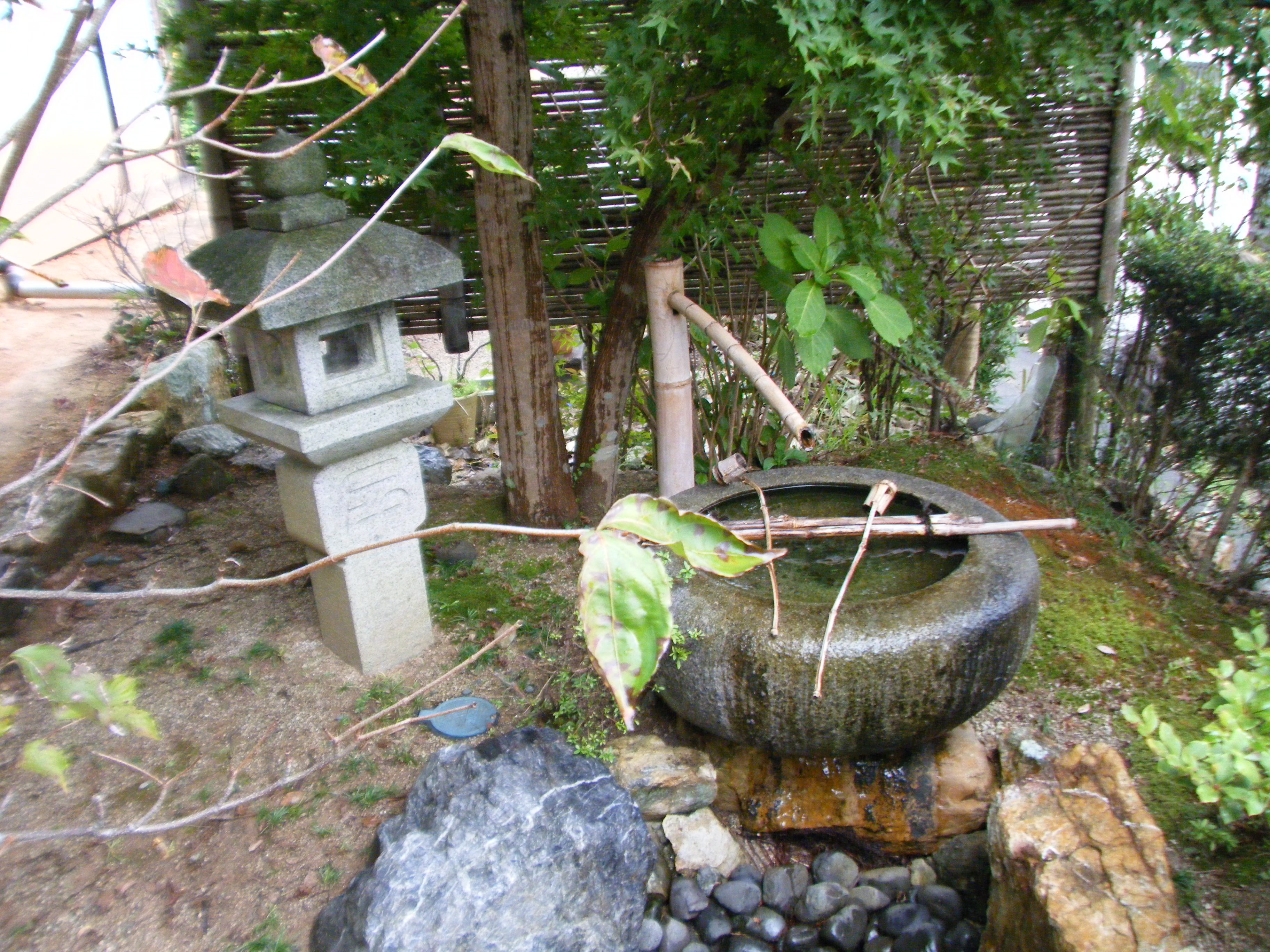 初山宝林寺にてお茶会