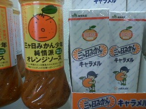 国民宿舎　奥浜名湖つづき