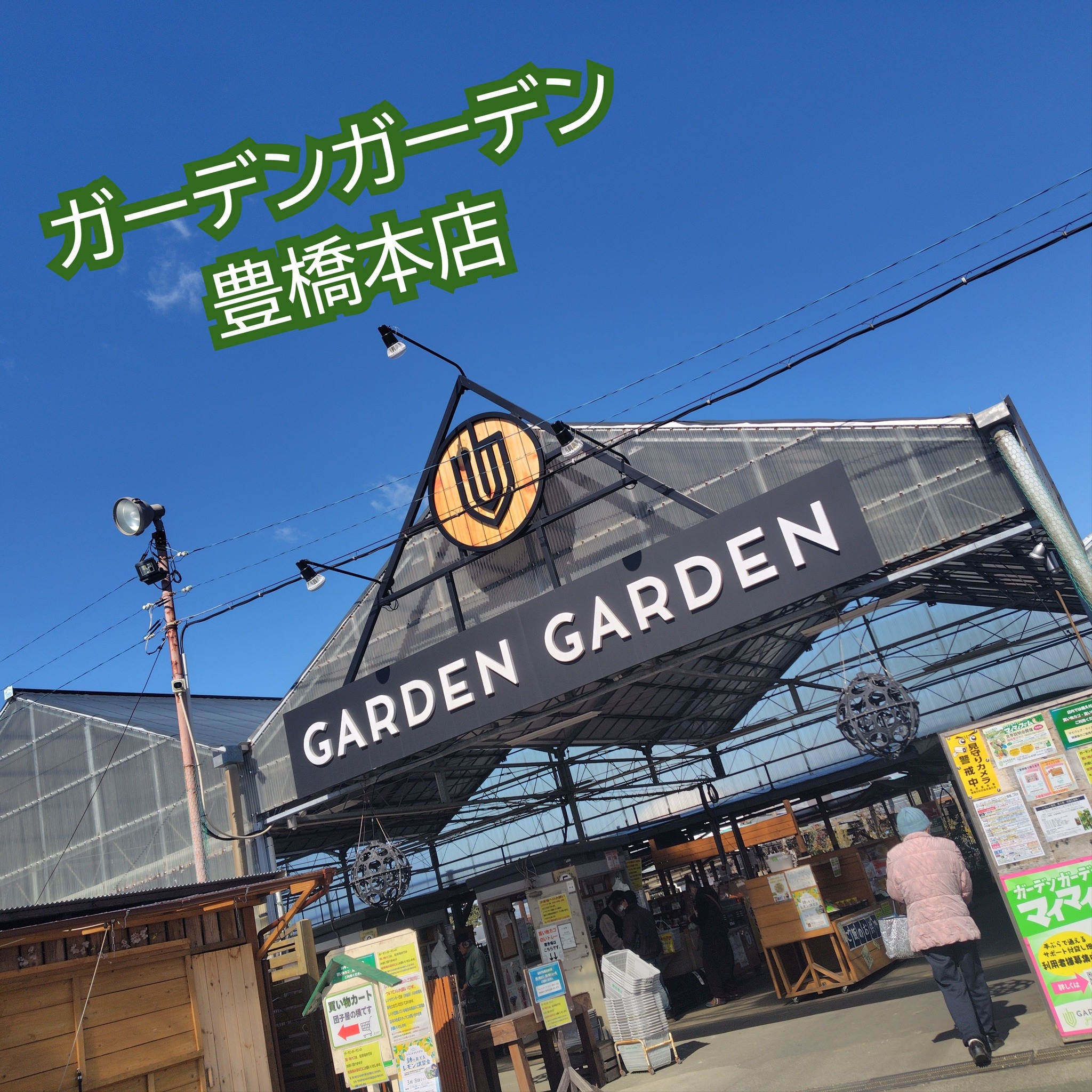 【新入り・多肉植物】