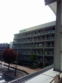 初！豊洲。 2018/11/06 07:05:00