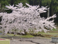 行ってきました「越前＆加賀」