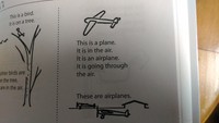 目で学ぶ