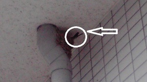 やっぱり