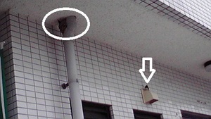 やっぱり