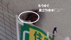 もうじき・・・