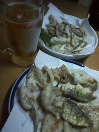 サビキ釣り☆