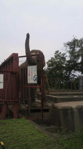 日本平動物園