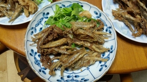 地引網