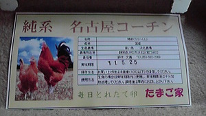たまご