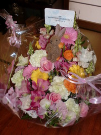 兎座は開店記念日！ 2012/04/26 09:34:28