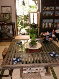 ④兎座近況ご報告