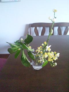 道の花